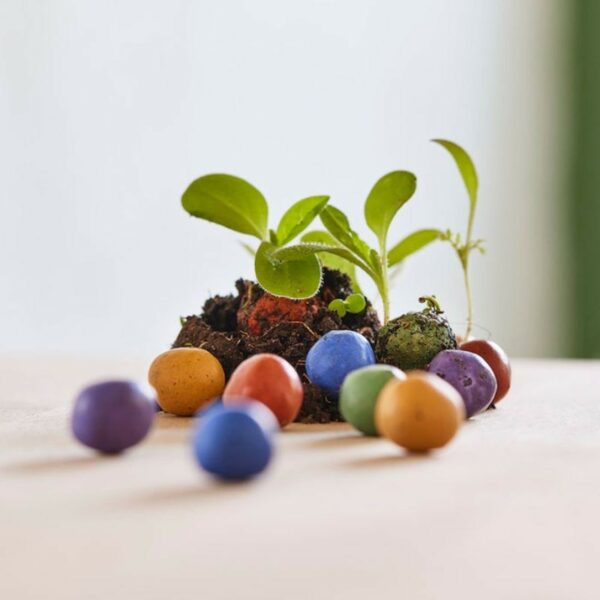 Blumenmurmeln – Bild 2